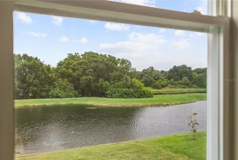 View/Area - 11722 White Willow Ln, Riverview, FL 33569 photo 2 of 4