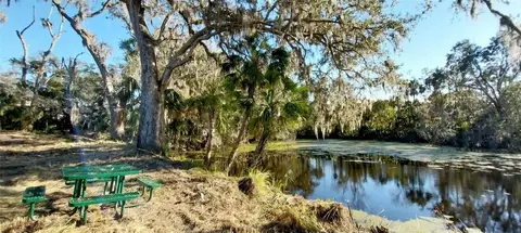 11105 Winn Rd, Riverview, FL 33569