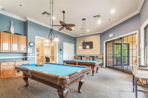 Other - 161 Shell Falls Dr, Apollo Beach, FL 33572 photo 11 of 14
