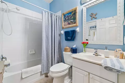 Bath - 161 Shell Falls Dr, Apollo Beach, FL 33572 photo 3 of 3