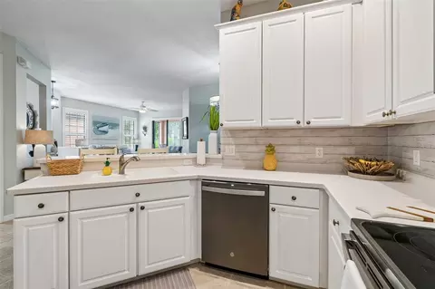 Kitchen - 161 Shell Falls Dr, Apollo Beach, FL 33572 photo 3 of 3