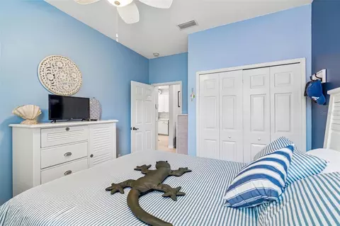 Bedroom - 161 Shell Falls Dr, Apollo Beach, FL 33572 photo 4 of 4
