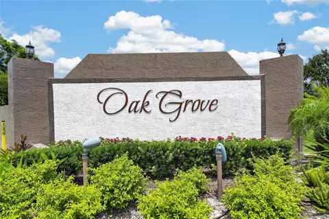 View/Area - 24519 Breezy Oak Ct, Lutz, FL 33559 photo 8 of 8