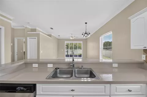 Kitchen - 24519 Breezy Oak Ct, Lutz, FL 33559 photo 6 of 8