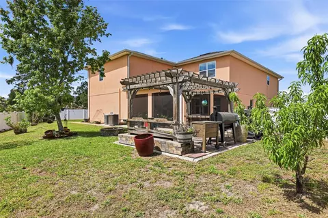 Exterior - 32550 Rapids Loop, Wesley Chapel, FL 33545 photo 12 of 25