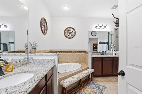 Other - 32550 Rapids Loop, Wesley Chapel, FL 33545 photo 14 of 18