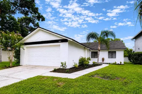 16131 Gardendale Dr, Tampa, FL 33624