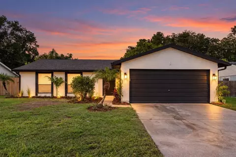 5308 Black Pine Dr, Tampa, FL 33624