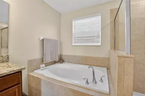 Bath - 8435 Hunters Fork Loop, Ruskin, FL 33573 photo 5 of 9