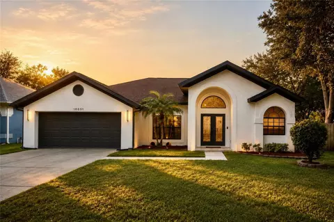 16601 Meadow Cove St, Tampa, FL 33624