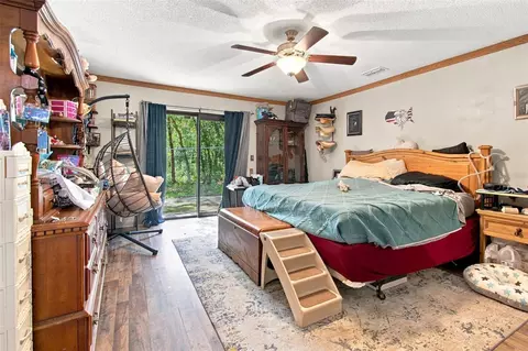 Bedroom - 7059 Juniper Ave, Webster, FL 33597 photo 1 of 3