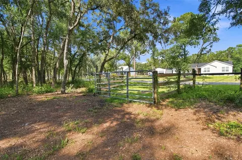 Exterior - 7059 Juniper Ave, Webster, FL 33597 photo 11 of 13