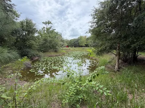 Undisclosed, Wimauma, FL 33598 photo 4
