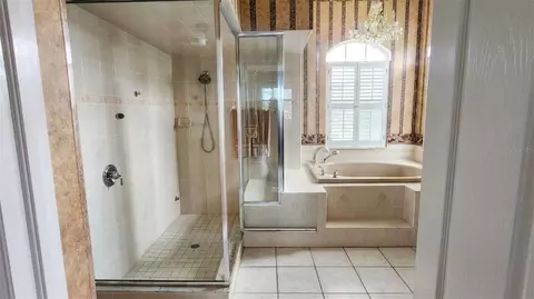 Bath - 22523 Willow Lakes Dr, Lutz, FL 33549 photo 2 of 5