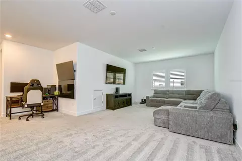 Other - 13857 Sharp Hawk Dr, Riverview, FL 33569 photo 4 of 7