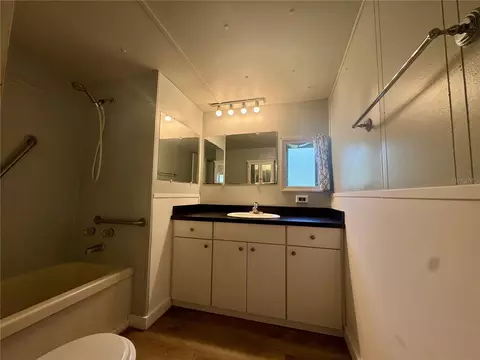 Bath - 3405 Fremont Ln, Spring Hill, FL 34607 photo 4 of 4