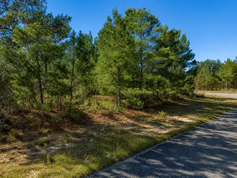 Alladin Drive, Chipley, FL 32428 photo 3