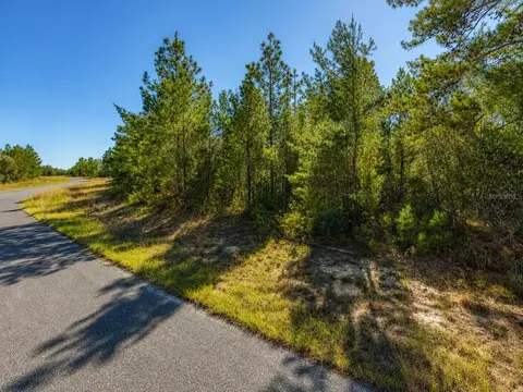 Alladin Drive, Chipley, FL 32428 photo 4