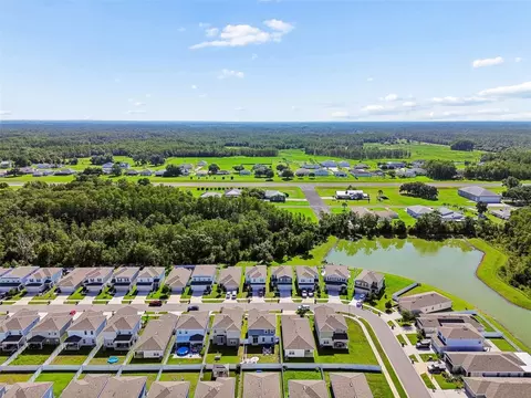 View/Area - 11895 Bristol Bridge Rd, Spring Hill, FL 34610 photo 4 of 8
