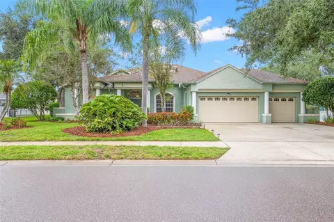 5501 Stag Thicket Ln, Palm Harbor, FL 34685