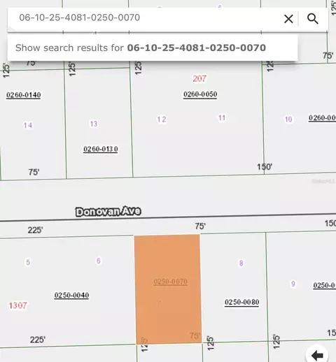 408 Rustic Rd, Satsuma, FL 32189 photo 3