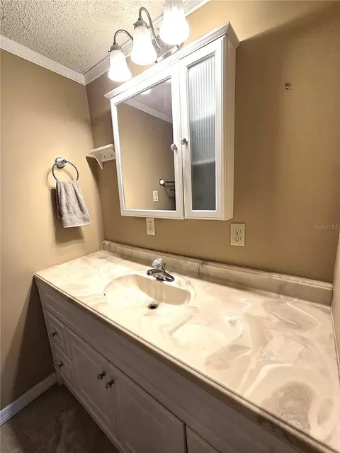 Bath - 1214 Jerry Smith Rd, Dover, FL 33527 photo 4 of 5