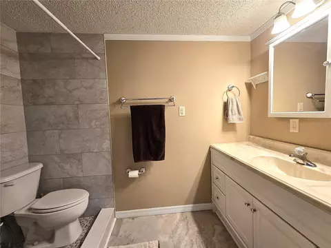 Bath - 1214 Jerry Smith Rd, Dover, FL 33527 photo 3 of 5