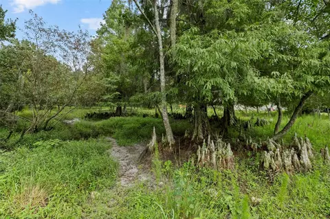 6930 Muck Pond Rd, Seffner, FL 33584 photo 6