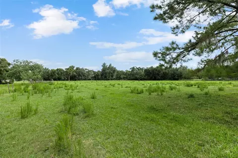 6930 Muck Pond Rd, Seffner, FL 33584 photo 2