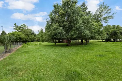 6930 Muck Pond Rd, Seffner, FL 33584 photo 3