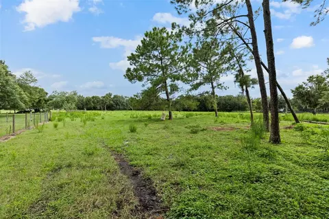 6930 Muck Pond Rd, Seffner, FL 33584 photo 4