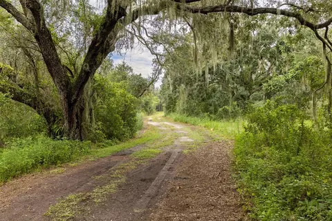 6930 Muck Pond Rd, Seffner, FL 33584 photo 8