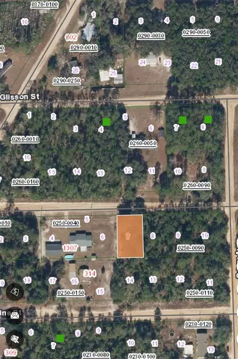 tbd Donovan Ave, Interlachen, FL 32148 photo 2