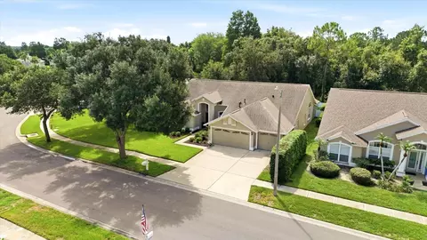 View/Area - 28331 Openfield Loop, Wesley Chapel, FL 33543 photo 1 of 7
