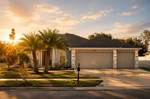 1447 Crazy Horse Dr, Lutz, FL 33559