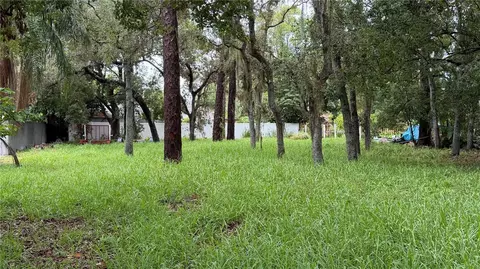 Tallahassee Drive, Tarpon Springs, FL 34689