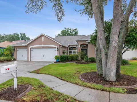 Exterior - 9209 Waterbird Dr, Riverview, FL 33578 photo 3 of 16