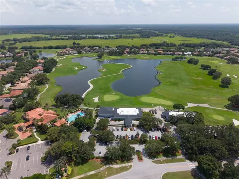 View/Area - 10429 Tecoma Dr, Trinity, FL 34655 photo 11 of 11