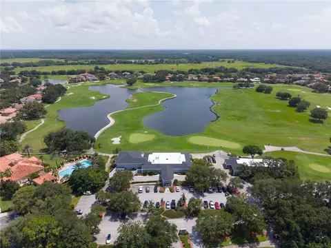 View/Area - 10429 Tecoma Dr, Trinity, FL 34655 photo 9 of 11