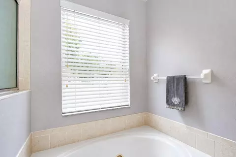 Bath - 9328 Stone River Pl, Riverview, FL 33578 photo 4 of 5