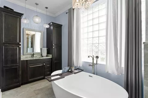 Bath - 704 Eagle Ln, Apollo Beach, FL 33572 photo 2 of 4