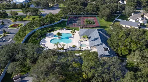 View/Area - 3741 Bellewater Blvd, Riverview, FL 33578 photo 2 of 5