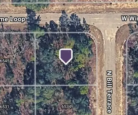 6548 N Bill Ter, Citrus Springs, FL 34434