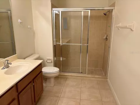 Bath - 229 Shell Falls Dr, Apollo Beach, FL 33572 photo 3 of 3