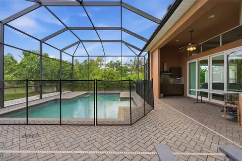 Exterior - 5416 Conch Shell Pl, Apollo Beach, FL 33572 photo 3 of 12
