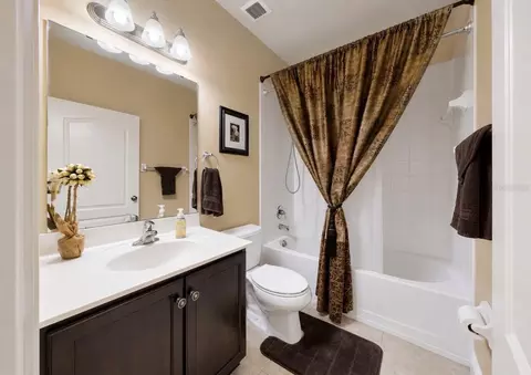 Bath - 5335 Sandy Shell Dr, Apollo Beach, FL 33572 photo 3 of 4