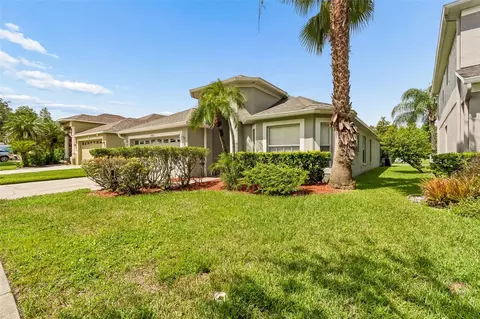 19308 Sandy Springs Cir, Lutz, FL 33558