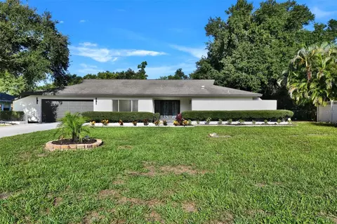 207 Dunbridge Dr, Palm Harbor, FL 34684