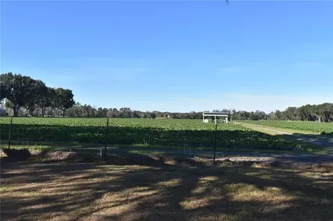 Other - 5319 W Trapnell Rd, Dover, FL 33527 photo 8 of 10