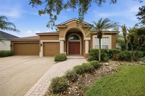25843 Risen Star Dr, Wesley Chapel, FL 33544